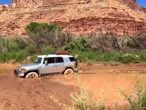 11745940_10153718282561677_3867208484554666658_n